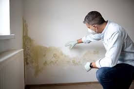 Best Asbestos and Lead Testing During Mold Inspection  in USA